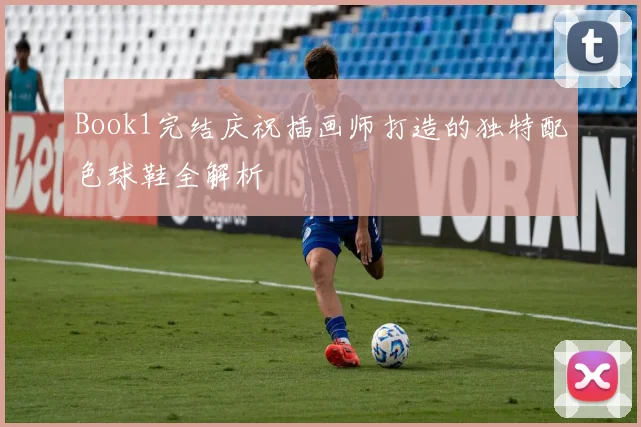 Book1完结庆祝插画师打造的独特配色球鞋全解析