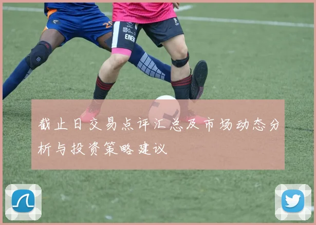 截止日交易点评汇总及市场动态分析与投资策略建议