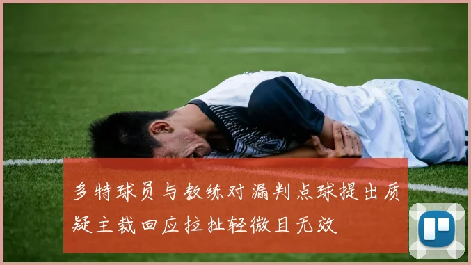 多特球员与教练对漏判点球提出质疑主裁回应拉扯轻微且无效