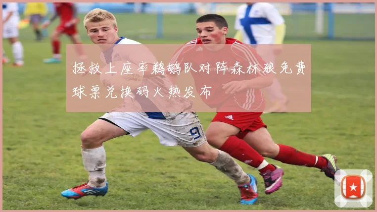 拯救上座率鹈鹕队对阵森林狼免费球票兑换码火热发布